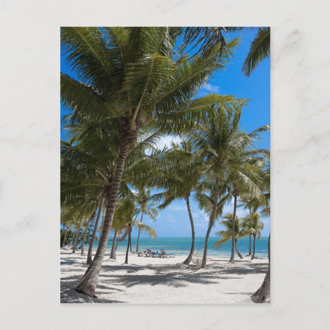 The Moorings Resort, Marathon, Key West, Vykort (Framsida)