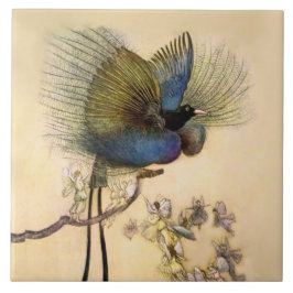 “The Most Beautiful Bird” by Warwick Goble Kakelplatta