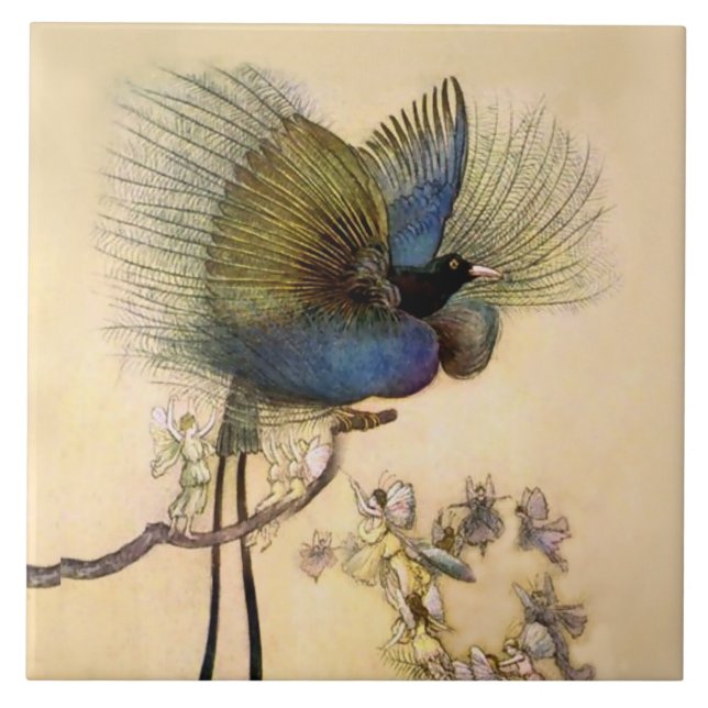 “The Most Beautiful Bird” by Warwick Goble Kakelplatta (Framsidan)