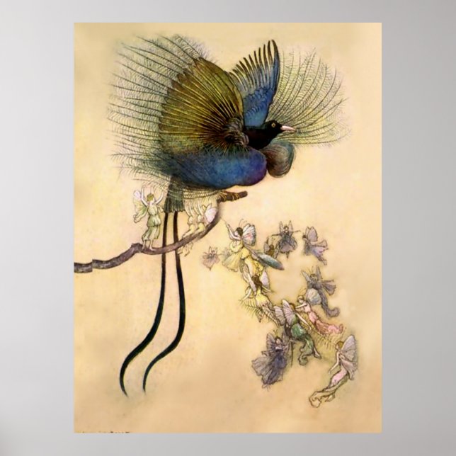 “The Most Beautiful Bird” by Warwick Goble Poster (Framsidan)