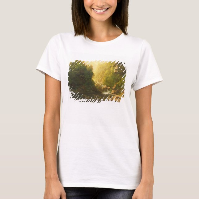 The Mountain Torrent, c.1820-30 (olja på arbetsyta T-shirt (Framsida)