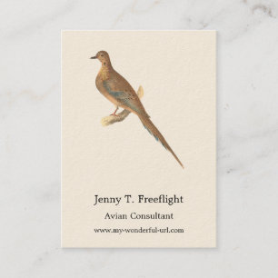 The Mourning Dove (Carolina Turtle Dove) NY Birds Visitkort