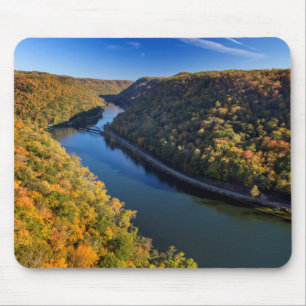The New River Gorge vid Hawks Nest State Park Musmatta