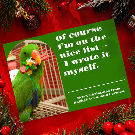The Nice List Funny Parrot Christmas Photo Card Julkort