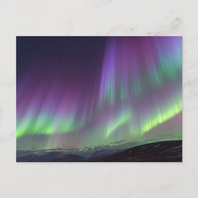 The Northern Lights | North Iceland Vykort (Framsida)
