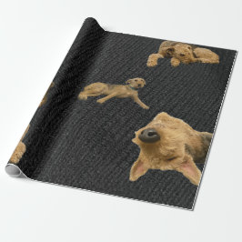 The Obstinate Airedale Wrapping Paper Presentpapper