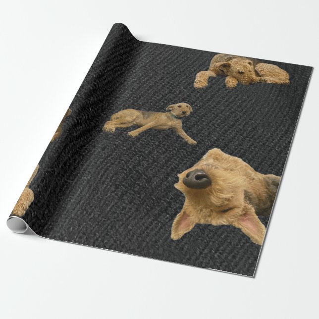 The Obstinate Airedale Wrapping Paper Presentpapper (Utrullad)