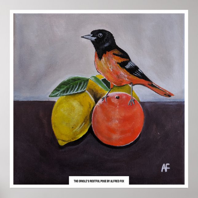 The Oriole's Restful Pose-målning av Alfred Fox Poster (Framsidan)