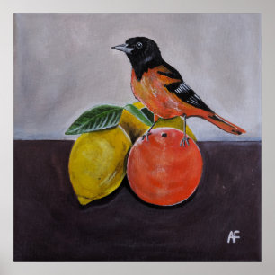 The Oriole's Restful Pose-målning av Alfred Fox Poster