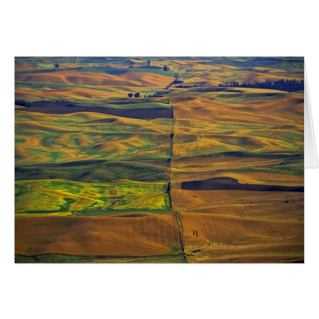 The Palouse från Steptoe Butte, Colfax, Hälsningskort (Framsidan Horizontal)
