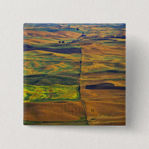 The Palouse från Steptoe Butte, Colfax, Knapp