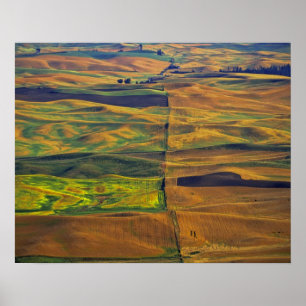 The Palouse från Steptoe Butte, Colfax, Poster