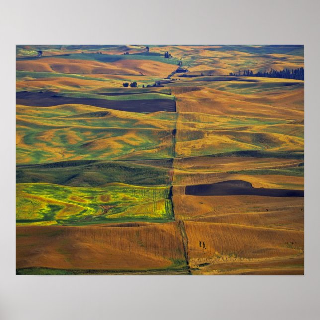 The Palouse från Steptoe Butte, Colfax, Poster (Framsidan)
