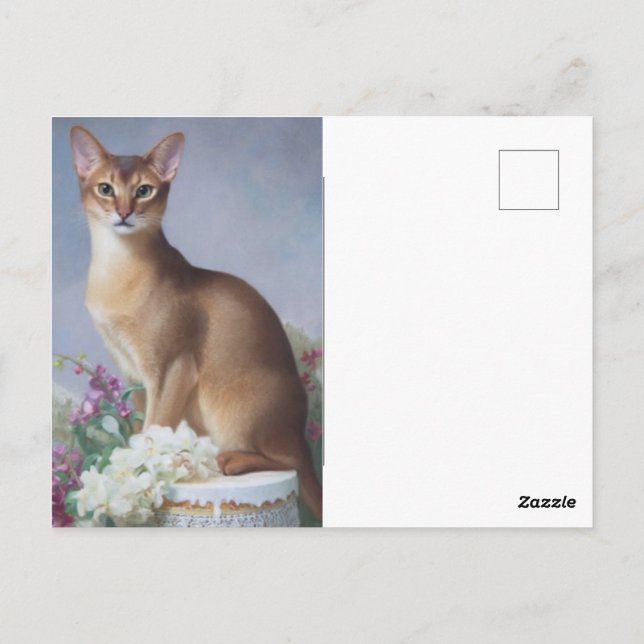 The Poised Abyssinian – Elegant Cat Postcard Vykort (Baksida)