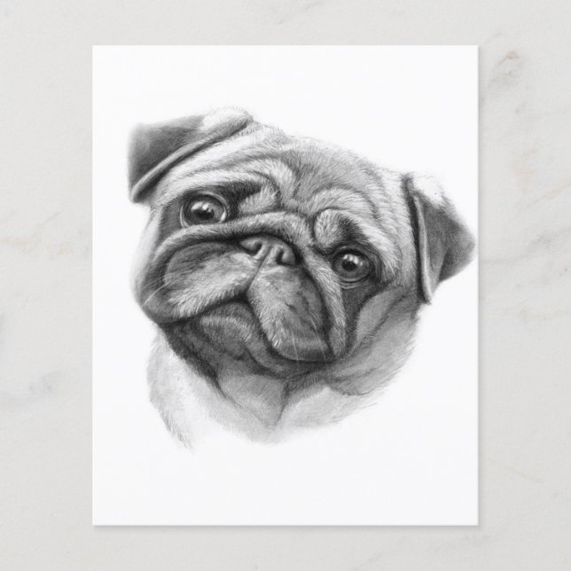 The Pug Porträtt | Sött Pug Hund Ansikte Flygblad (Framsidan)