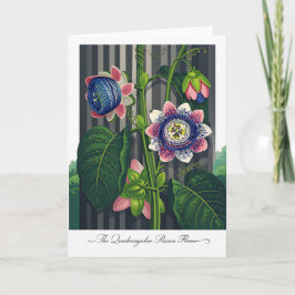 The Quadrangular Passion Flower Modern Botanical Kort