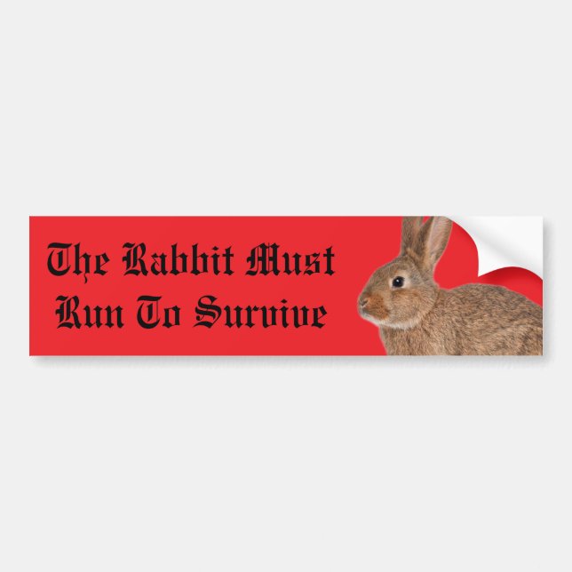 The rabbit must run to survive bumper sticker bildekal (Framsidan)