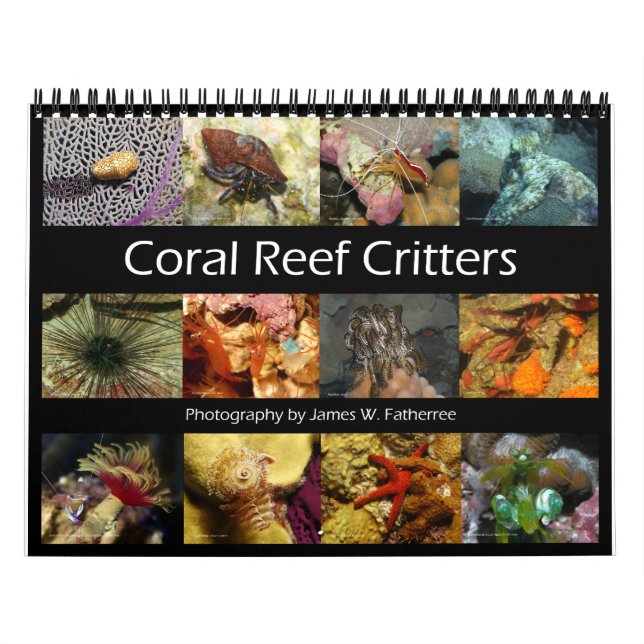 The Reef Critters Wall Calendar by J.W. Faderträde Kalender (Omslag)