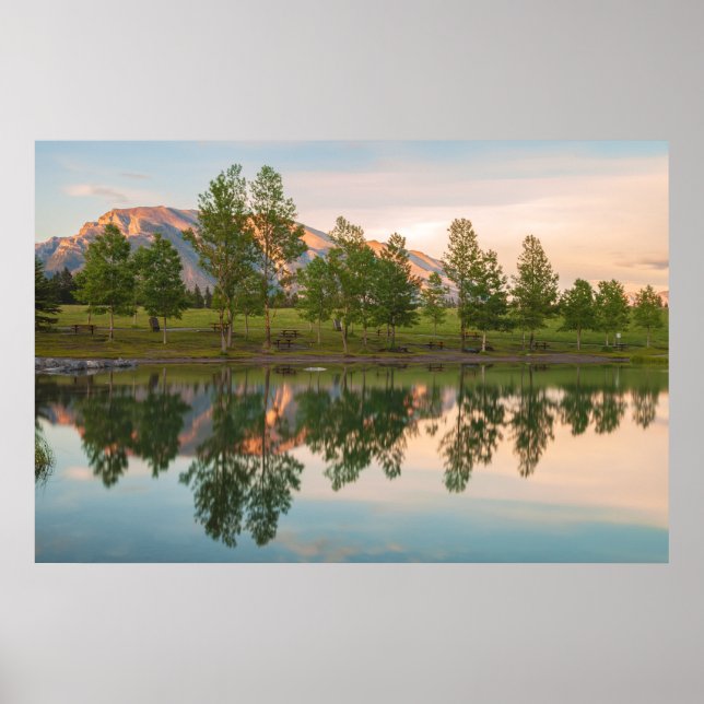 The Reflections  Poster (Framsidan)