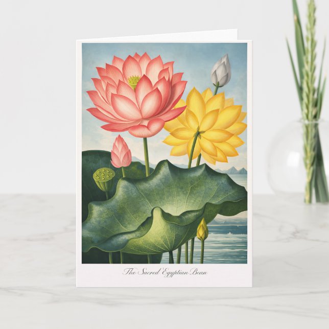 The Sacred Egyptian Bean — Modern Botanical Kort (Framsida)