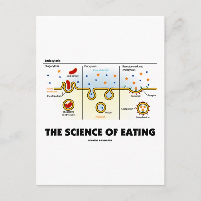 The Science of Eating (Endocytosis Biology Humor) Vykort (Framsida)
