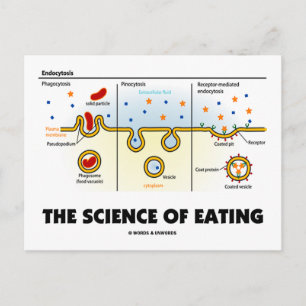The Science of Eating (Endocytosis Biology Humor) Vykort