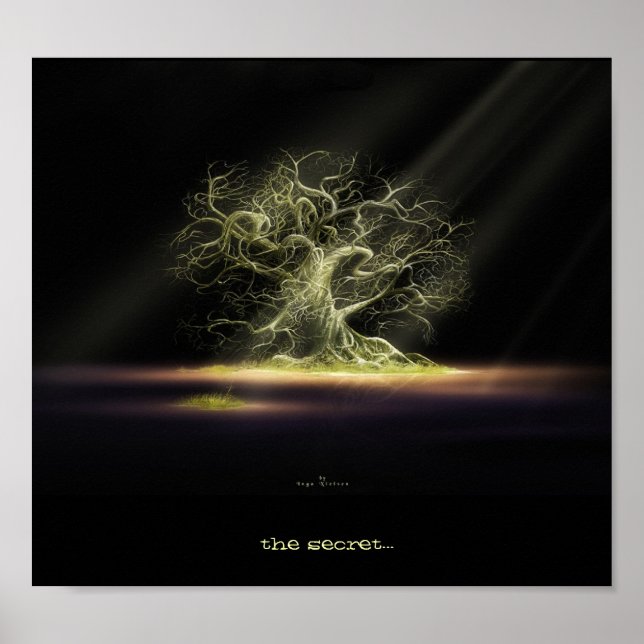 the secret? poster (Framsidan)