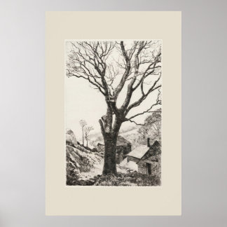The Sentinel Cornwall Eleanor Hughes Återutgivning Poster