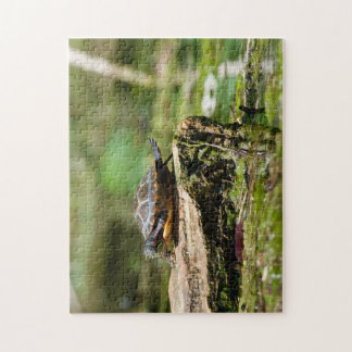 "The Shy Turtle" 252 Piece Jigsaw Puzzle Pussel