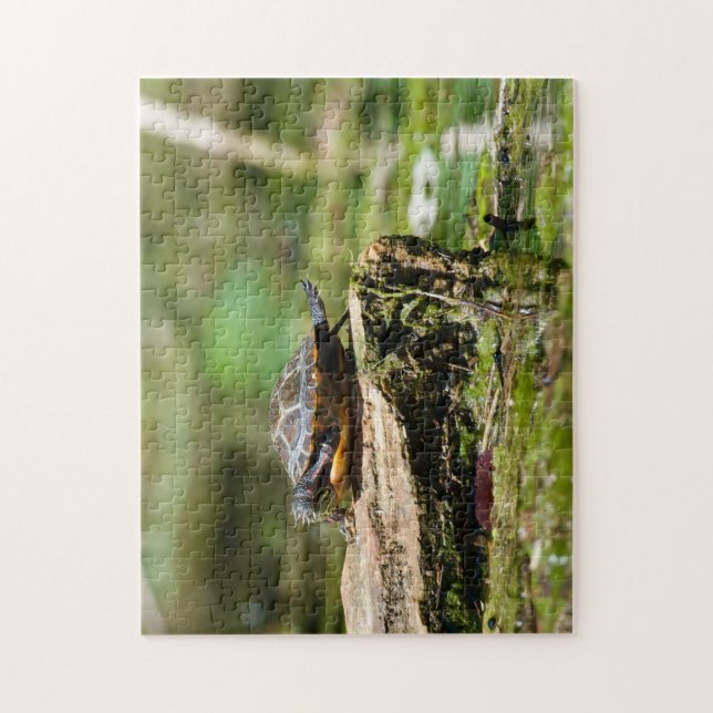 "The Shy Turtle" 252 Piece Jigsaw Puzzle Pussel (Vertikal)