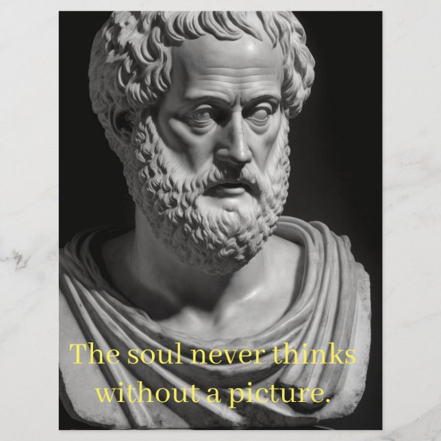 The soul never thinks without a picture (Framsida)