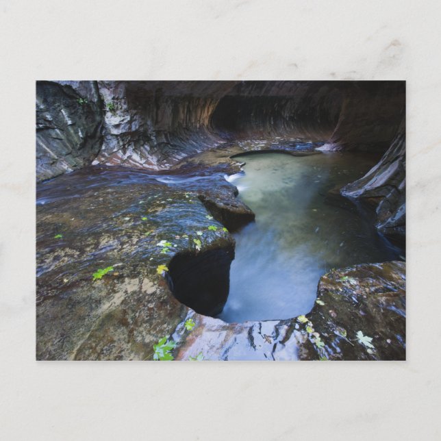 The Subway slot canyon Vykort (Framsida)