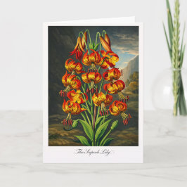 The Superb Lily — Modern Botanical Reinterpretatio Kort