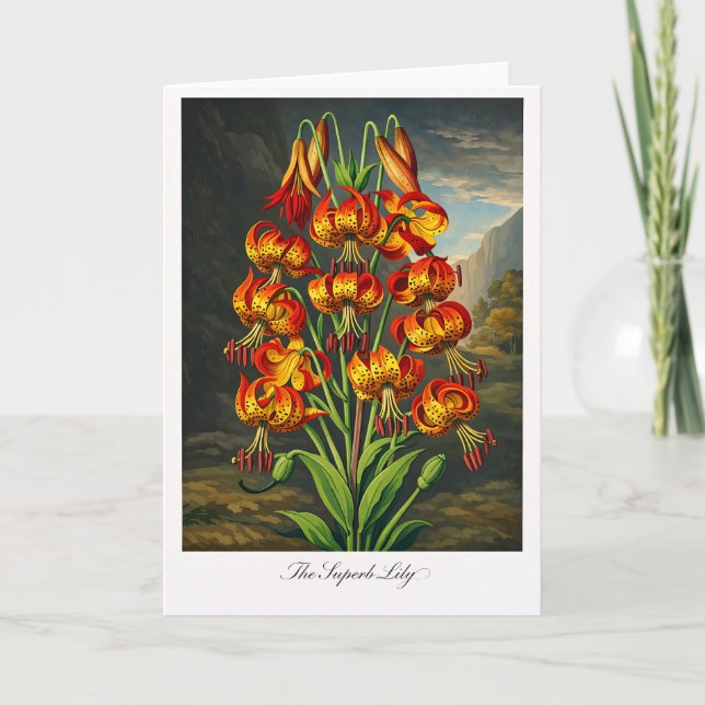 The Superb Lily — Modern Botanical Reinterpretatio Kort (Framsida)