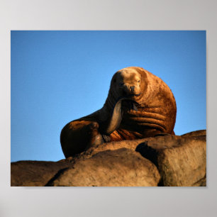 The Thinker - Fina konsttryck Poster