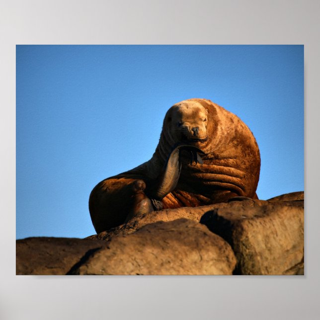The Thinker - Fina konsttryck Poster (Framsidan)