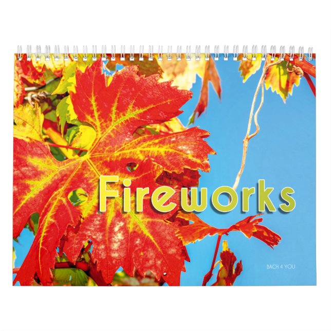 The Vin Wall Calendar - Fireworks. Kalender (Omslag)