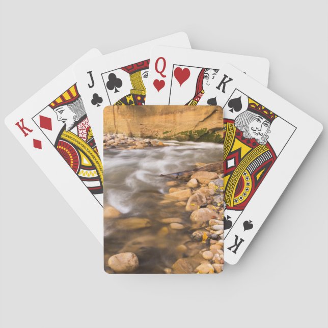 The Virgin Rivers trånga pass i höst 4 Casinokort (Baksidan)