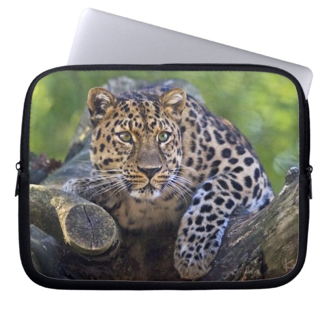 The Watcher Laptoppskydd Laptop Fodral (Framsidan)