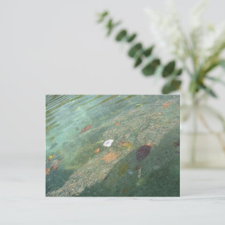The water's surface in October Vykort