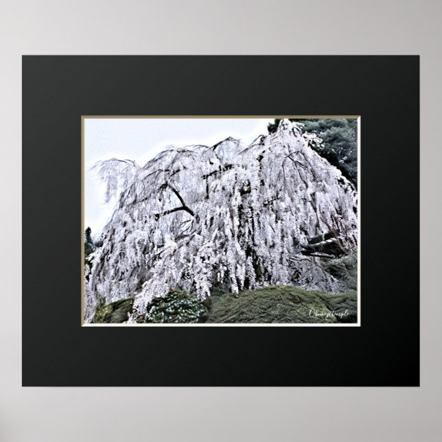 The Weeping Cherry Tree: Ōno-ji temple Poster (Framsidan)