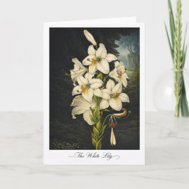 The White Lily — Modern Botanical Reinterpretation Kort
