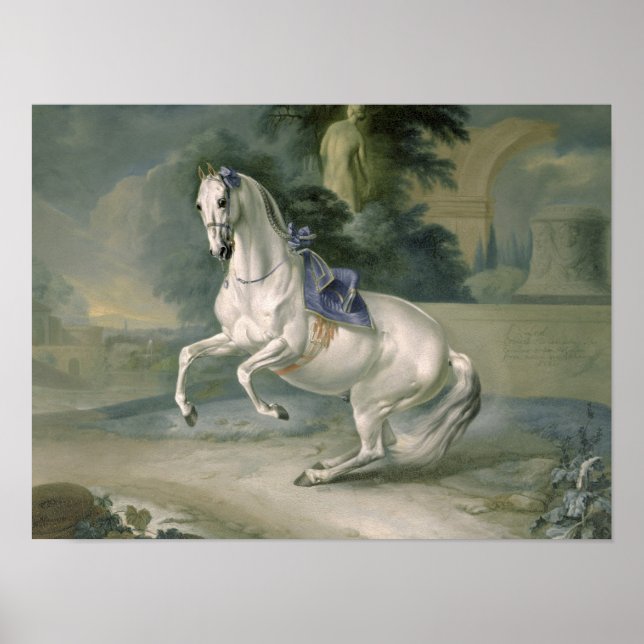 The White Stallion "Leal" en levade, 1721 Poster (Framsidan)
