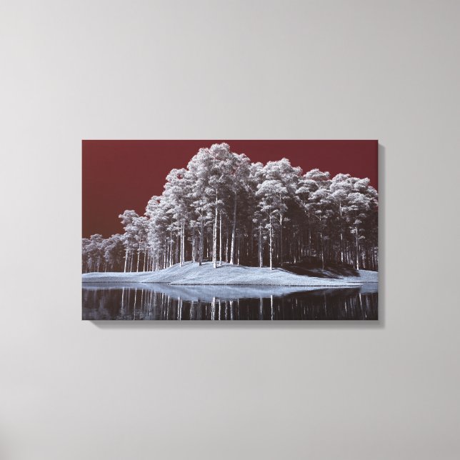 The White Woods Canvas Print (Framsida)
