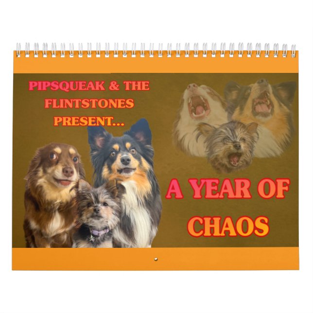 The Whole Gang Kalender (Omslag)