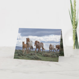 The Wild Roan Familjen Kör Greeting Card Inbjudan