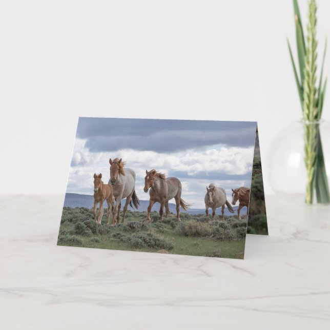 The Wild Roan Family Runs Greeting Card Inbjudan (Framsida)