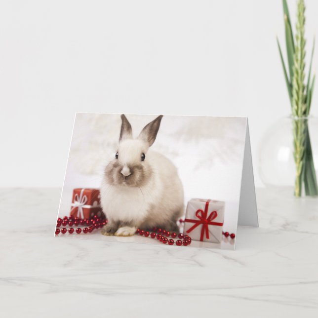 The WildRescue  Holiday Card! Helgkort (Framsida)