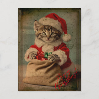 The 'Yuletide Yawn' Dashing Kitten Christmas Vykort