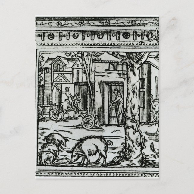Theater d'Agriculture et Mesnage des Champs Vykort (Framsida)